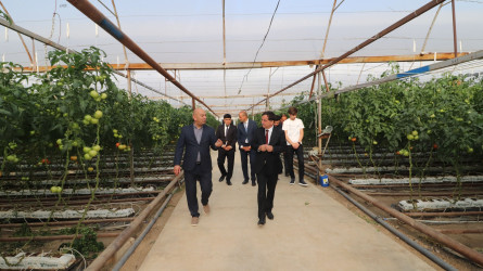 İcra başçısı “Əsədoğlu Group” MMC-yə məxsus müəssisənin təsərrüfat sahəsinin fəaliyyəti ilə tanış olub