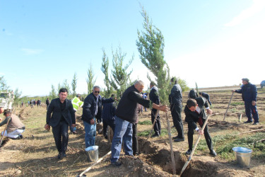 “Yaşıl dünya naminə həmrəylik ili” çərçivəsində rayonun Yuxarı Salahlı kəndində  ağacəkmə aksiyası keçirilmişdir