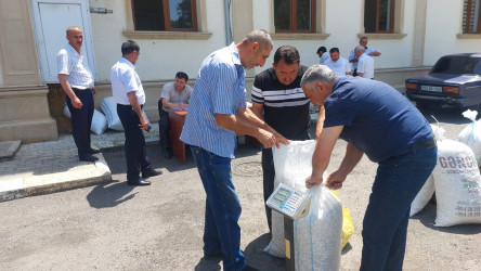Qazaxda barama tədarükü davam edir