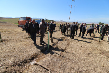 Qazaxda Vətən müharibəsi şəhidlərinin xatirəsinə həsr olunmuş yürüş və ağacəkmə aksiyası keçirilib