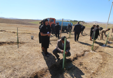 Qazaxda Vətən müharibəsi şəhidlərinin xatirəsinə həsr olunmuş yürüş və ağacəkmə aksiyası keçirilib