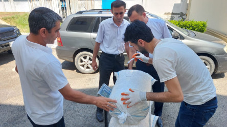 Qazaxda artıq barama tədarükünə başlanılıb