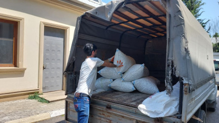 Qazaxda artıq barama tədarükünə başlanılıb