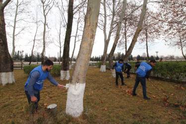 Qazaxda “Heydər Əliyev İli” çərçivəsində iməcilik keçirilib