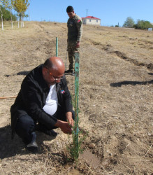 Qazaxda Vətən müharibəsi şəhidlərinin xatirəsinə həsr olunmuş yürüş və ağacəkmə aksiyası keçirilib