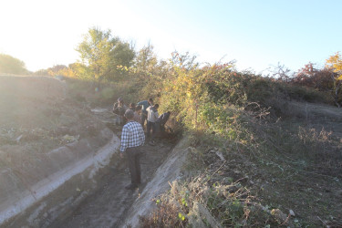 İcra başçısı kəndlərdə arx və kanallarda aparılan təmizlik işlərinin mövcud vəziyyəti ilə maraqlanıb