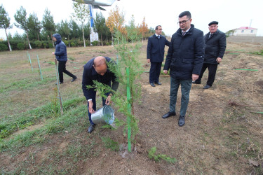 YAP-ın təsis edilməsinin 30 illiyi ilə əlaqədar Qazaxda ağacəkmə aksiyası keçirilib