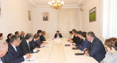 Qazax RİH-də keçirilən ümumi qəbulda icra başçısı vətəndaşların müraciətini dinləyib