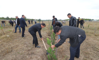 Qazaxda 27 Sentyabr - Anım Günü ilə əlaqədar Vətən müharibəsi şəhidlərinin xatirəsinə həsr olunmuş ağacəkmə aksiyası keçirilib 18.09.2025