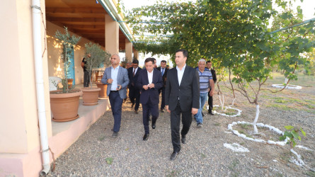 Qazaxda 2026-2030-cu illər üçün Dövlət Proqramının icrası ilə bağlı rayonun kəndlərində aqroparka və iri fermer təsərrüfatlarına baxış keçirilib 15.09.2026