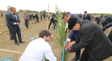 Qazaxda 27 Sentyabr - Anım Günü ilə əlaqədar Vətən müharibəsi şəhidlərinin xatirəsinə həsr olunmuş ağacəkmə aksiyası keçirilib 18.09.2025