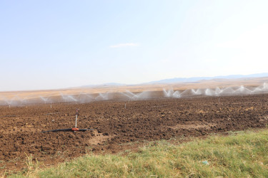 Qazaxda 2026-2030-cu illər üçün Dövlət Proqramının icrası ilə bağlı rayonun kəndlərində aqroparka və iri fermer təsərrüfatlarına baxış keçirilib 15.09.2026
