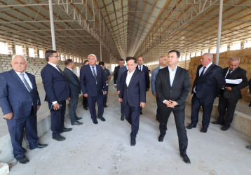 Qazaxda 2026-2030-cu illər üçün Dövlət Proqramının icrası ilə bağlı rayonun kəndlərində aqroparka və iri fermer təsərrüfatlarına baxış keçirilib 15.09.2026