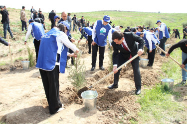 Qazaxda “Şəhərsalma və Memarlıq İli” ilə əlaqədar növbəti ağacəkmə aksiyası keçirilib 17.04.2026