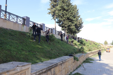 Qazaxda 8 Noyabr – Zəfər Gününün beşinci ildönümünə həsr olunmuş ağacəkmə aksiyası keçirilib 05.11.2025