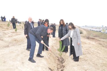 Qazaxda 8 Noyabr – Zəfər Gününün beşinci ildönümünə həsr olunmuş ağacəkmə aksiyası keçirilib 05.11.2025