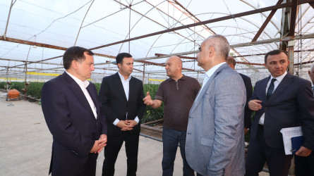 Qazaxda 2026-2030-cu illər üçün Dövlət Proqramının icrası ilə bağlı rayonun kəndlərində aqroparka və iri fermer təsərrüfatlarına baxış keçirilib 15.09.2026