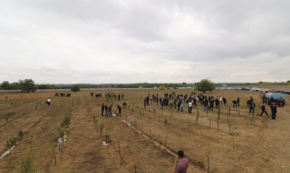Qazaxda 27 Sentyabr - Anım Günü ilə əlaqədar Vətən müharibəsi şəhidlərinin xatirəsinə həsr olunmuş ağacəkmə aksiyası keçirilib 18.09.2025