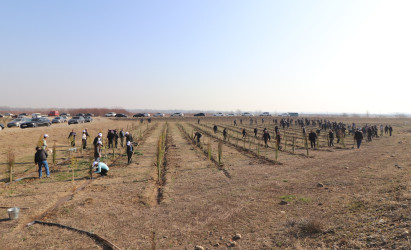 Qazaxda “Konstitusiya və Suverenlik İli” ilə əlaqədar ağacəkmə aksiyası keçirilib 11.03.2025