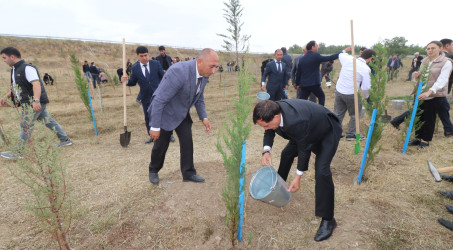 Qazaxda 27 Sentyabr - Anım Günü ilə əlaqədar Vətən müharibəsi şəhidlərinin xatirəsinə həsr olunmuş ağacəkmə aksiyası keçirilib 18.09.2025