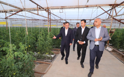 Qazaxda 2026-2030-cu illər üçün Dövlət Proqramının icrası ilə bağlı rayonun kəndlərində aqroparka və iri fermer təsərrüfatlarına baxış keçirilib 15.09.2026