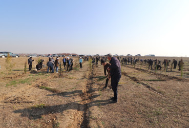 Qazaxda “Konstitusiya və Suverenlik İli” ilə əlaqədar ağacəkmə aksiyası keçirilib 11.03.2025