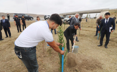 Qazaxda 27 Sentyabr - Anım Günü ilə əlaqədar Vətən müharibəsi şəhidlərinin xatirəsinə həsr olunmuş ağacəkmə aksiyası keçirilib 18.09.2025