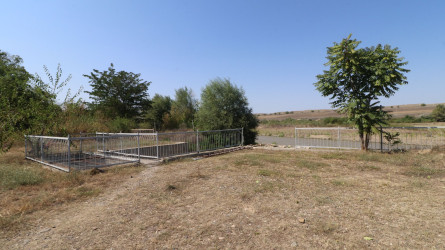Qazaxda 2026-2030-cu illər üçün Dövlət Proqramının icrası ilə bağlı rayonun kəndlərində aqroparka və iri fermer təsərrüfatlarına baxış keçirilib 15.09.2026