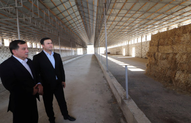 Qazaxda 2026-2030-cu illər üçün Dövlət Proqramının icrası ilə bağlı rayonun kəndlərində aqroparka və iri fermer təsərrüfatlarına baxış keçirilib 15.09.2026