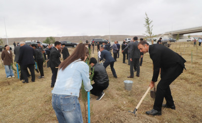 Qazaxda 27 Sentyabr - Anım Günü ilə əlaqədar Vətən müharibəsi şəhidlərinin xatirəsinə həsr olunmuş ağacəkmə aksiyası keçirilib 18.09.2025