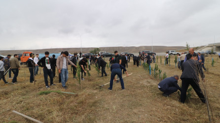 Qazaxda 27 Sentyabr - Anım Günü ilə əlaqədar Vətən müharibəsi şəhidlərinin xatirəsinə həsr olunmuş ağacəkmə aksiyası keçirilib 18.09.2025