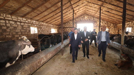 Qazaxda 2026-2030-cu illər üçün Dövlət Proqramının icrası ilə bağlı rayonun kəndlərində aqroparka və iri fermer təsərrüfatlarına baxış keçirilib 15.09.2026