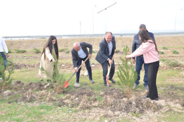 Qazaxda 8 Noyabr – Zəfər Gününün beşinci ildönümünə həsr olunmuş ağacəkmə aksiyası keçirilib 05.11.2025