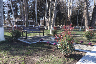 Qazax şəhəri Heydər Əliyev adına park - 04.03.2026