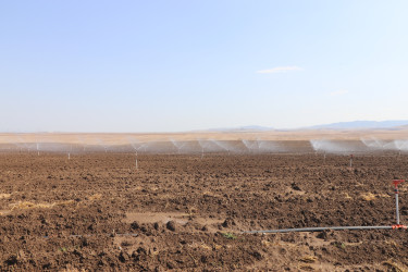Qazaxda 2026-2030-cu illər üçün Dövlət Proqramının icrası ilə bağlı rayonun kəndlərində aqroparka və iri fermer təsərrüfatlarına baxış keçirilib 15.09.2026