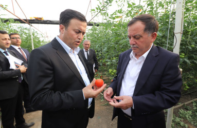 Qazaxda 2026-2030-cu illər üçün Dövlət Proqramının icrası ilə bağlı rayonun kəndlərində aqroparka və iri fermer təsərrüfatlarına baxış keçirilib 15.09.2026
