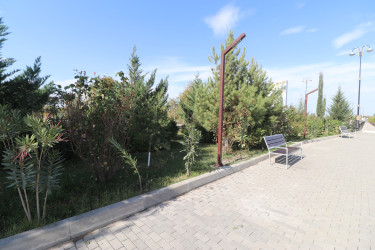 Qazaxda 8 Noyabr – Zəfər Gününün beşinci ildönümünə həsr olunmuş ağacəkmə aksiyası keçirilib 05.11.2025