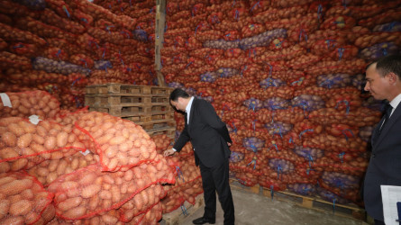 Qazaxda 2026-2030-cu illər üçün Dövlət Proqramının icrası ilə bağlı rayonun kəndlərində aqroparka və iri fermer təsərrüfatlarına baxış keçirilib 15.09.2026