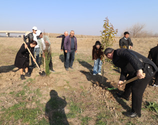 Qazaxda “Konstitusiya və Suverenlik İli” ilə əlaqədar ağacəkmə aksiyası keçirilib 11.03.2025