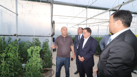 Qazaxda 2026-2030-cu illər üçün Dövlət Proqramının icrası ilə bağlı rayonun kəndlərində aqroparka və iri fermer təsərrüfatlarına baxış keçirilib 15.09.2026