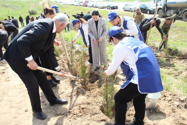 Qazaxda “Şəhərsalma və Memarlıq İli” ilə əlaqədar növbəti ağacəkmə aksiyası keçirilib 17.04.2026