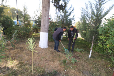 Qazaxda 8 Noyabr – Zəfər Gününün beşinci ildönümünə həsr olunmuş ağacəkmə aksiyası keçirilib 05.11.2025