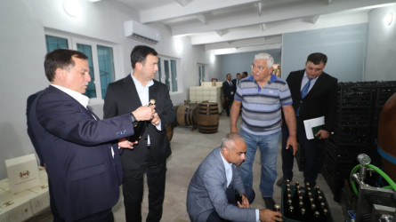 Qazaxda 2026-2030-cu illər üçün Dövlət Proqramının icrası ilə bağlı rayonun kəndlərində aqroparka və iri fermer təsərrüfatlarına baxış keçirilib 15.09.2026