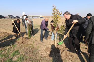 Qazaxda “Konstitusiya və Suverenlik İli” ilə əlaqədar ağacəkmə aksiyası keçirilib 11.03.2025