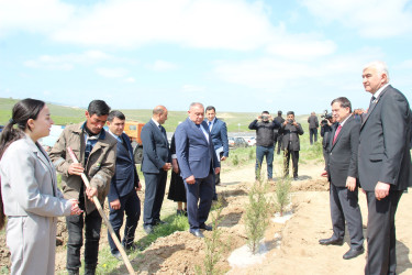 Qazaxda “Şəhərsalma və Memarlıq İli” ilə əlaqədar növbəti ağacəkmə aksiyası keçirilib 17.04.2026