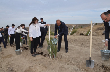 Qazaxda 8 Noyabr – Zəfər Gününün beşinci ildönümünə həsr olunmuş ağacəkmə aksiyası keçirilib 05.11.2025