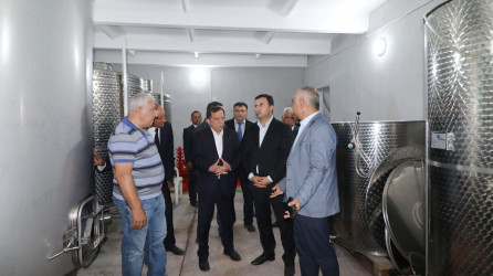 Qazaxda 2026-2030-cu illər üçün Dövlət Proqramının icrası ilə bağlı rayonun kəndlərində aqroparka və iri fermer təsərrüfatlarına baxış keçirilib 15.09.2026