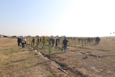 Qazaxda “Konstitusiya və Suverenlik İli” ilə əlaqədar ağacəkmə aksiyası keçirilib 11.03.2025