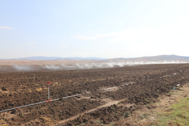 Qazaxda 2026-2030-cu illər üçün Dövlət Proqramının icrası ilə bağlı rayonun kəndlərində aqroparka və iri fermer təsərrüfatlarına baxış keçirilib 15.09.2026