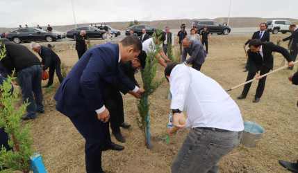 Qazaxda 27 Sentyabr - Anım Günü ilə əlaqədar Vətən müharibəsi şəhidlərinin xatirəsinə həsr olunmuş ağacəkmə aksiyası keçirilib 18.09.2025